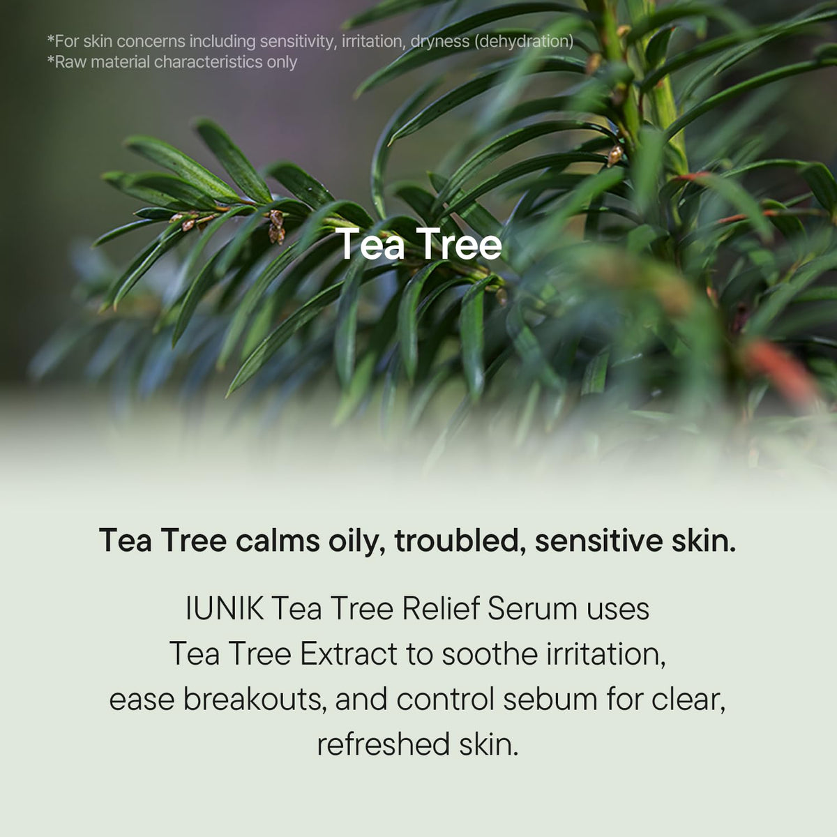 IUNIK ingredient label showing tea tree and centella asiatica benefits clearly