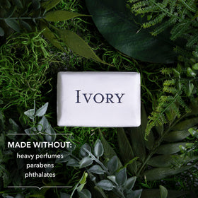 Ivory single aloe-scent bar close-up highlighting clean design