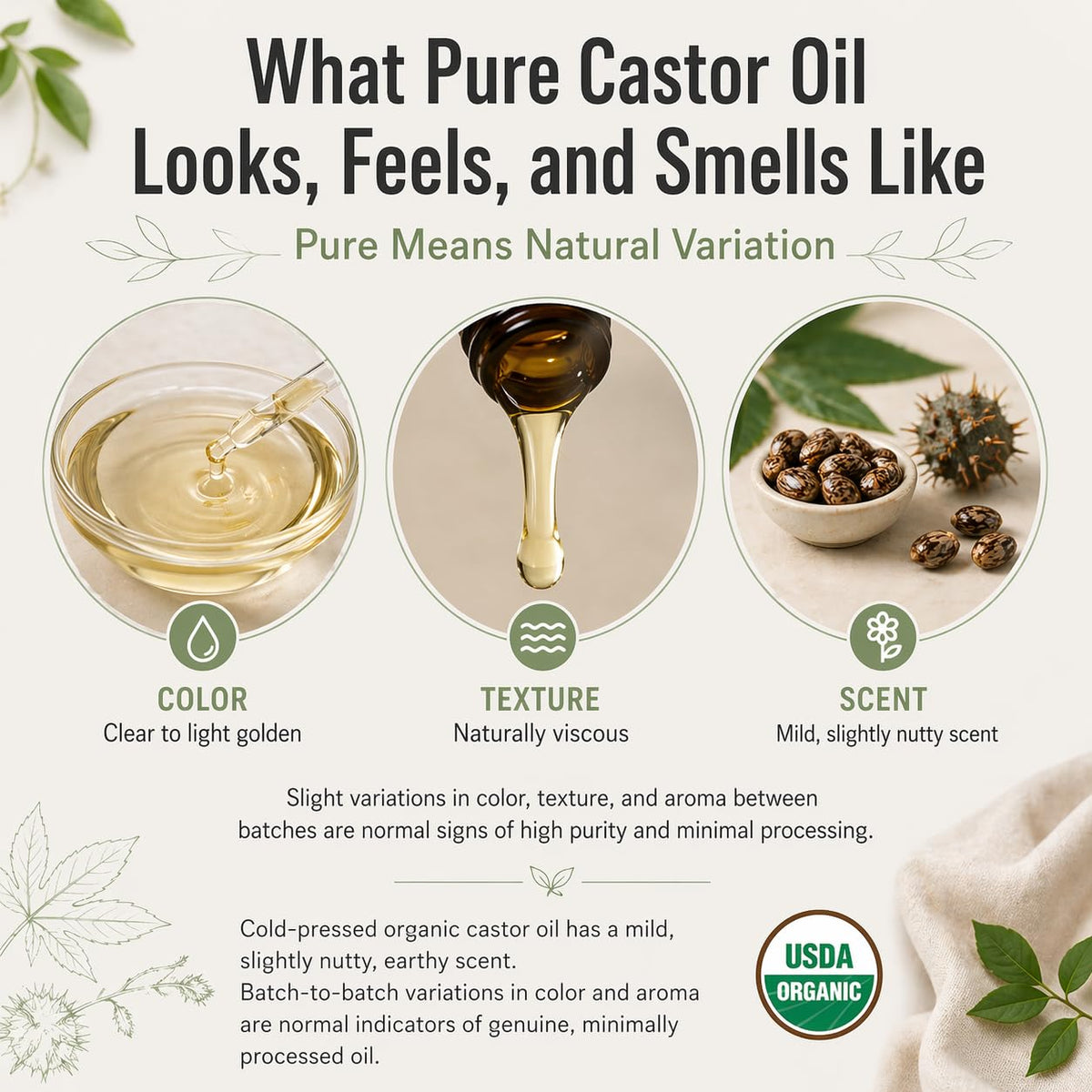 J MAC BOTANICALS several bottle sizes side-by-side to show scale and quantity