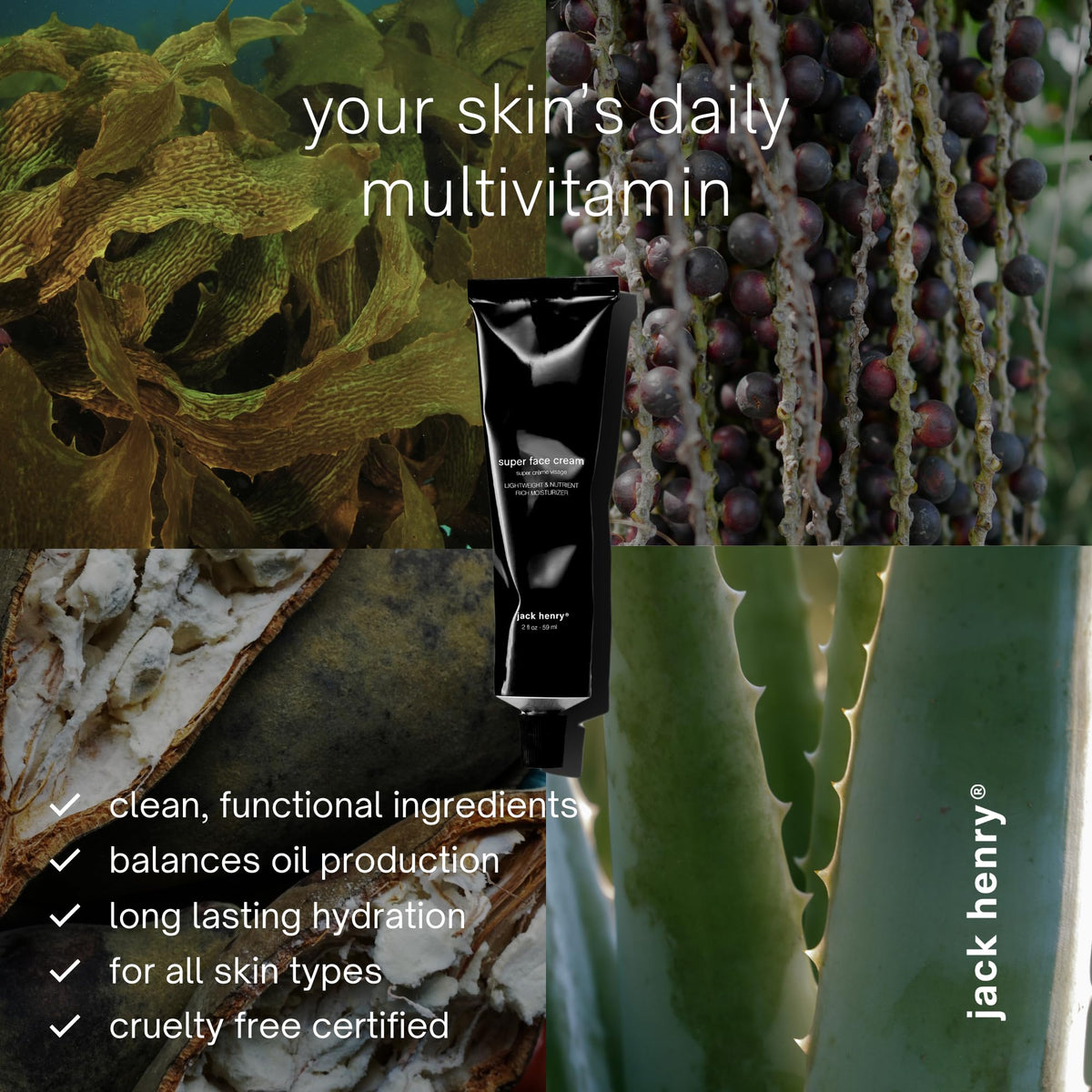 jack henry ingredients flatlay with prickly pear and baobab for nourishment