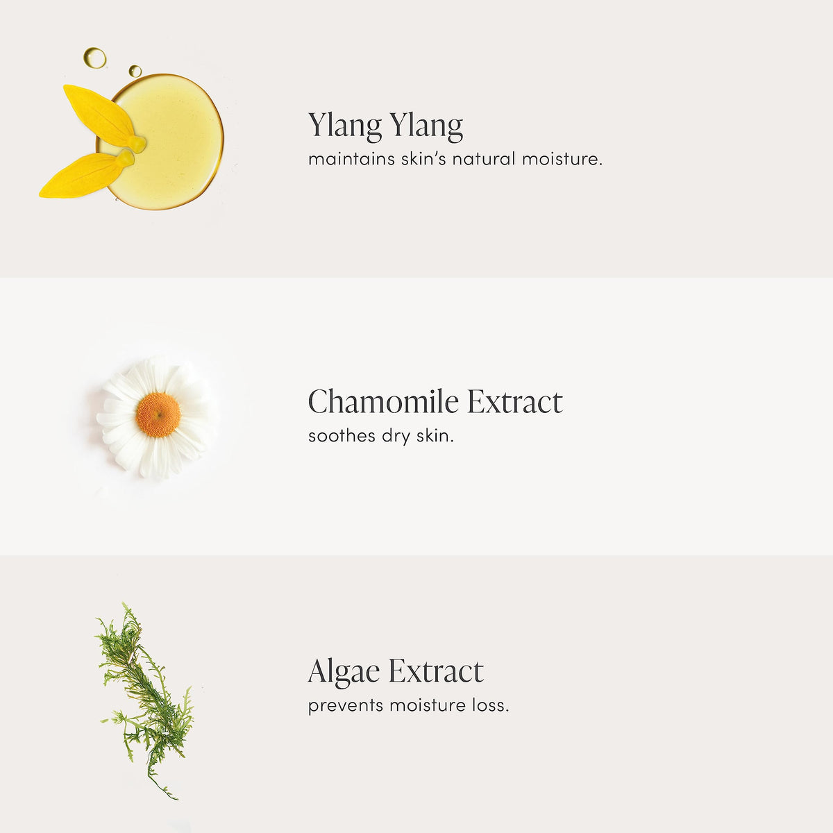 jane iredale label ingredients closeup highlighting ylang ylang and seaweed benefits