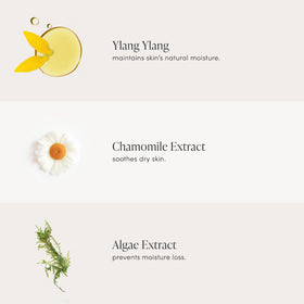 jane iredale label ingredients closeup highlighting ylang ylang and seaweed benefits