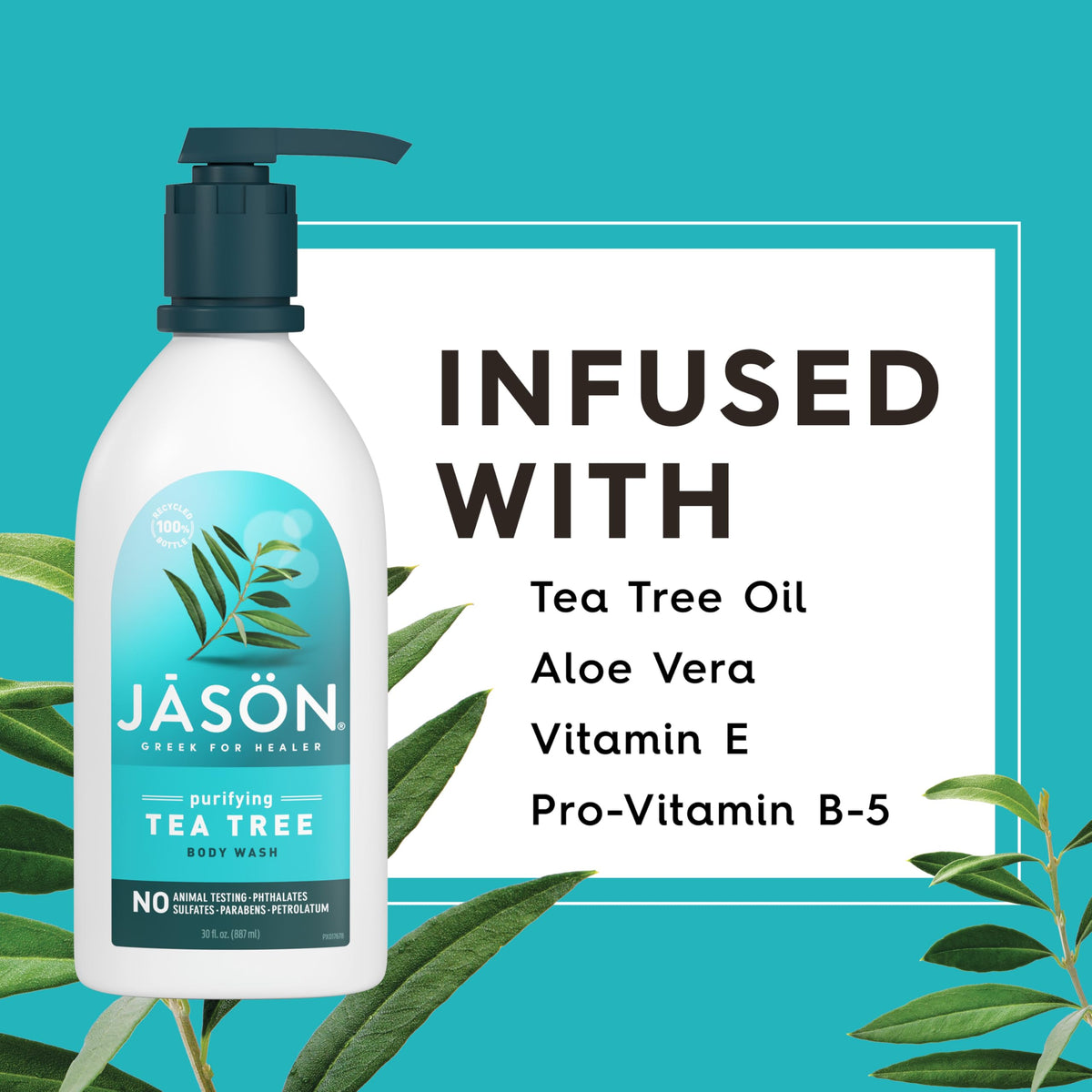 JASON aloe vera and tea tree leaves highlighting botanical ingredients benefit