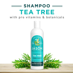 JASON applied in shower demonstrating scalp soothing and easy rinse