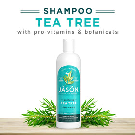 JASON label showing tea tree, grapefruit and calendula ingredients for ingredient transparency