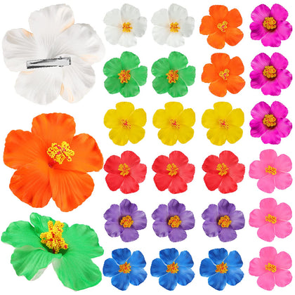 Jexine front packaging showing 27 colorful hibiscus clips and variety