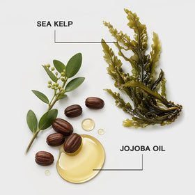 Joico ingredient display with sea kelp and jojoba for nourishment