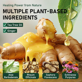 Jonider ginger ingredient detail highlighting natural extract for nourishing benefit