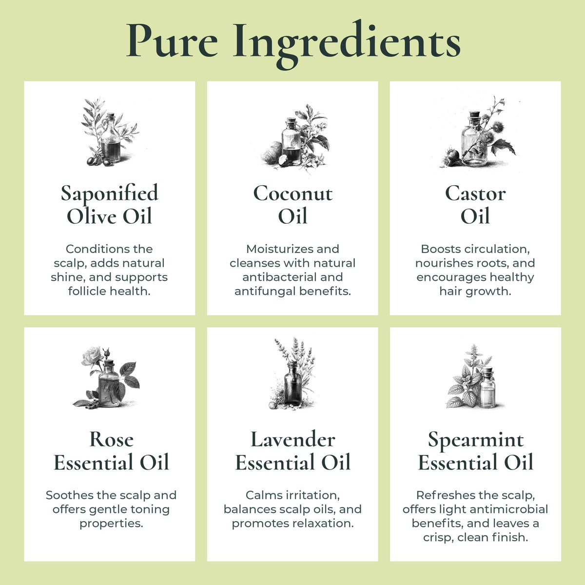 J·R·LIGGETT'S lather in hands demonstrating gentle effective cleansing