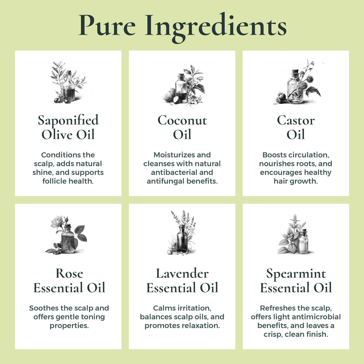 J·R·LIGGETT'S lather in hand demonstrating gentle foaming and easy rinse