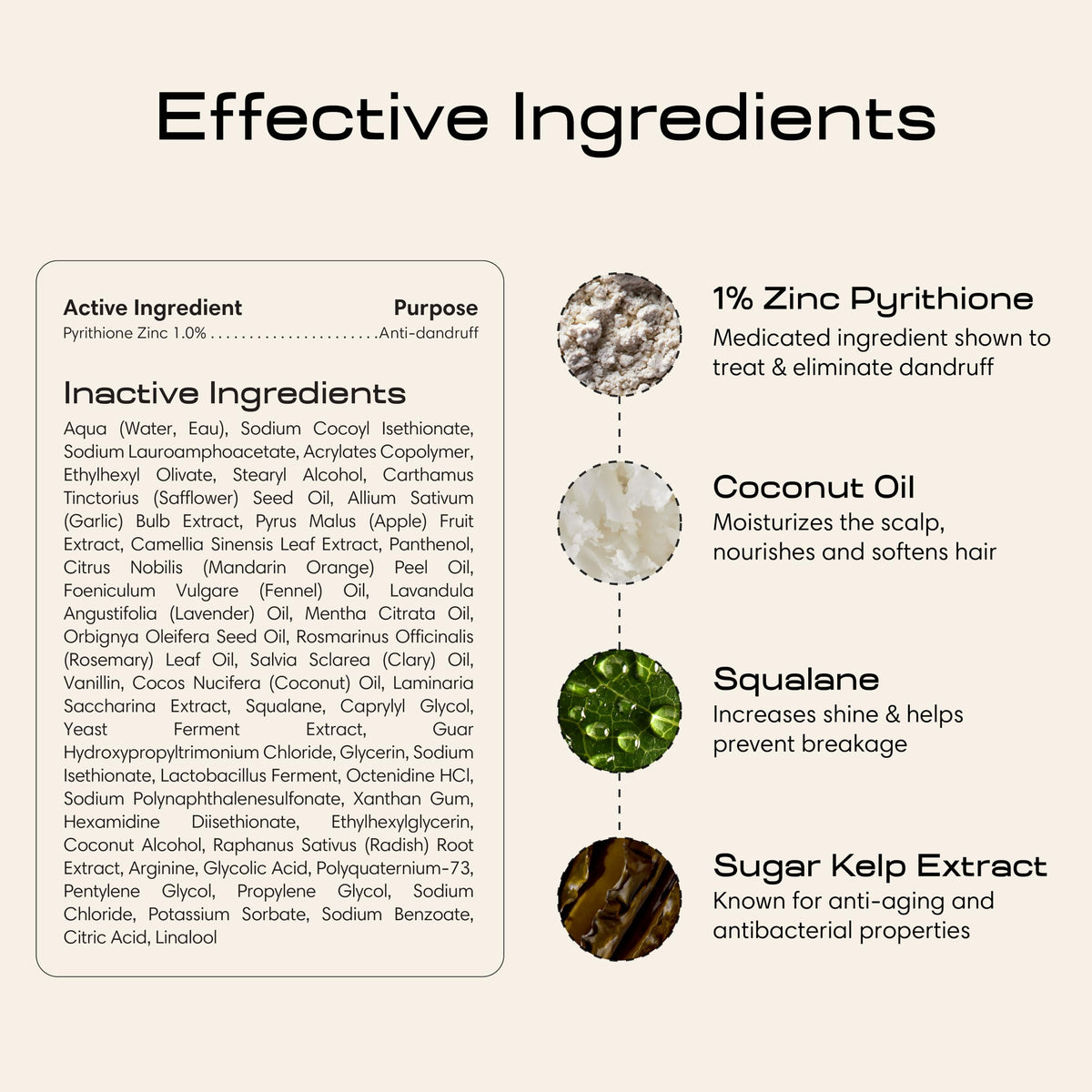 Jupiter aloe vera and sugar kelp close-up highlighting soothing botanicals