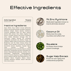 Jupiter aloe vera and sugar kelp close-up highlighting soothing botanicals