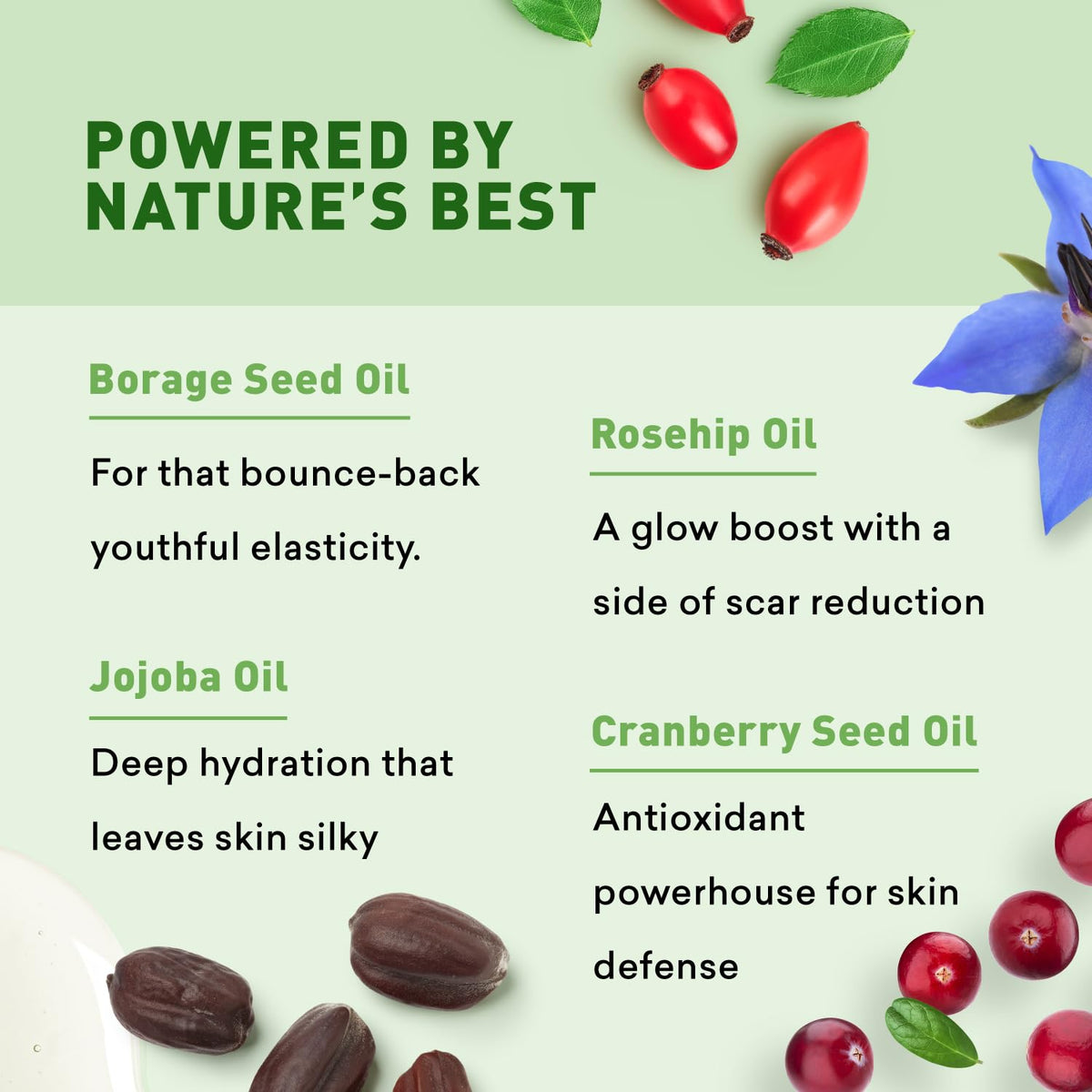 Just Nutritive label closeup listing botanical ingredients and vitamins