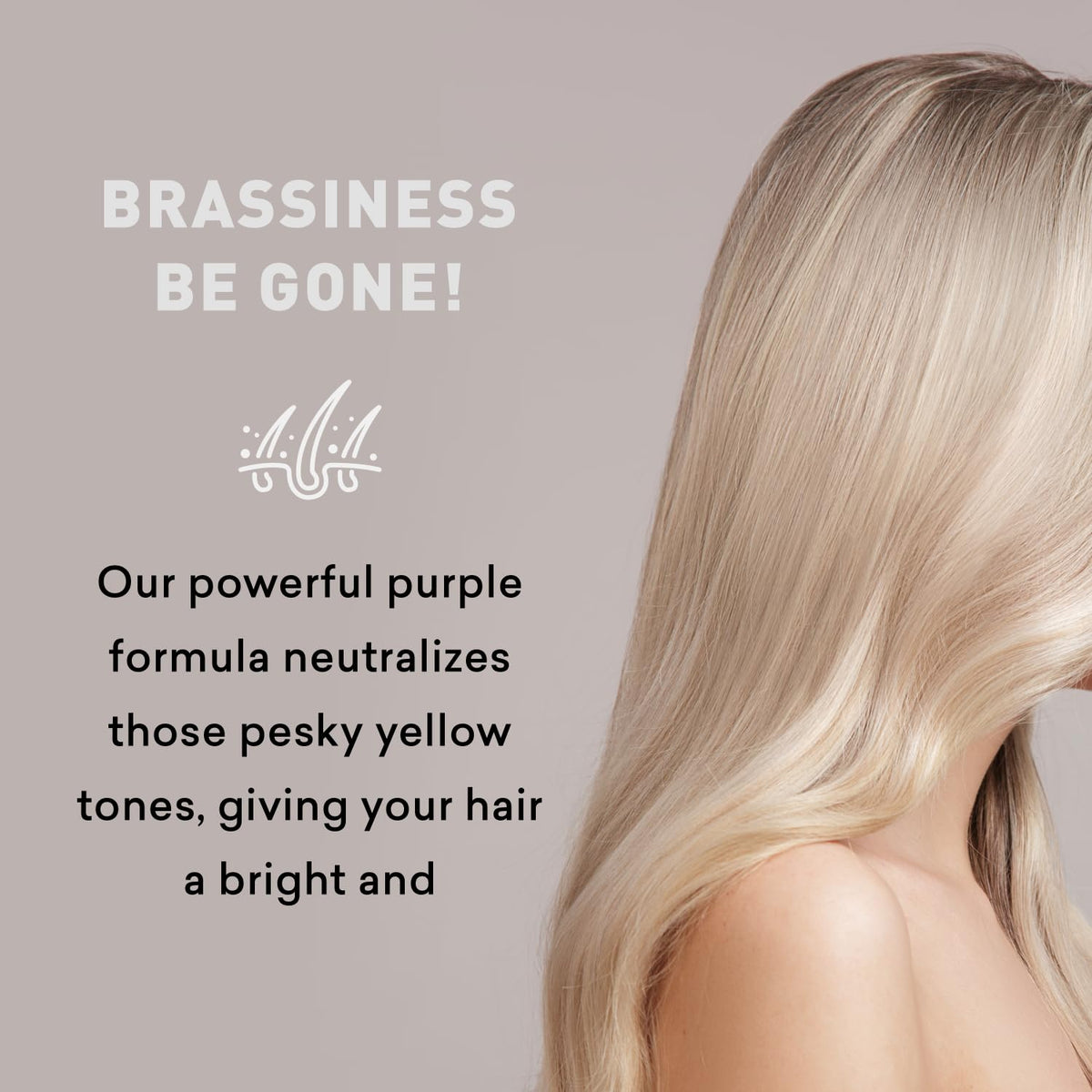 Just Nutritive paired with purple shampoo for complete toning routine