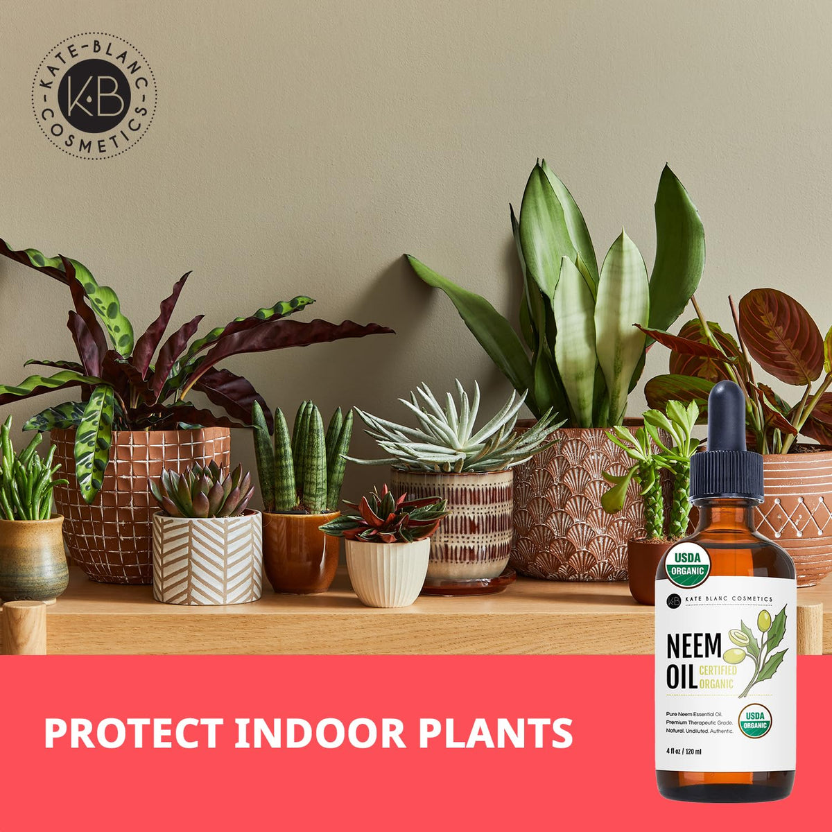 Kate Blanc neem oil mixed into plant spray showing safer indoor plant care