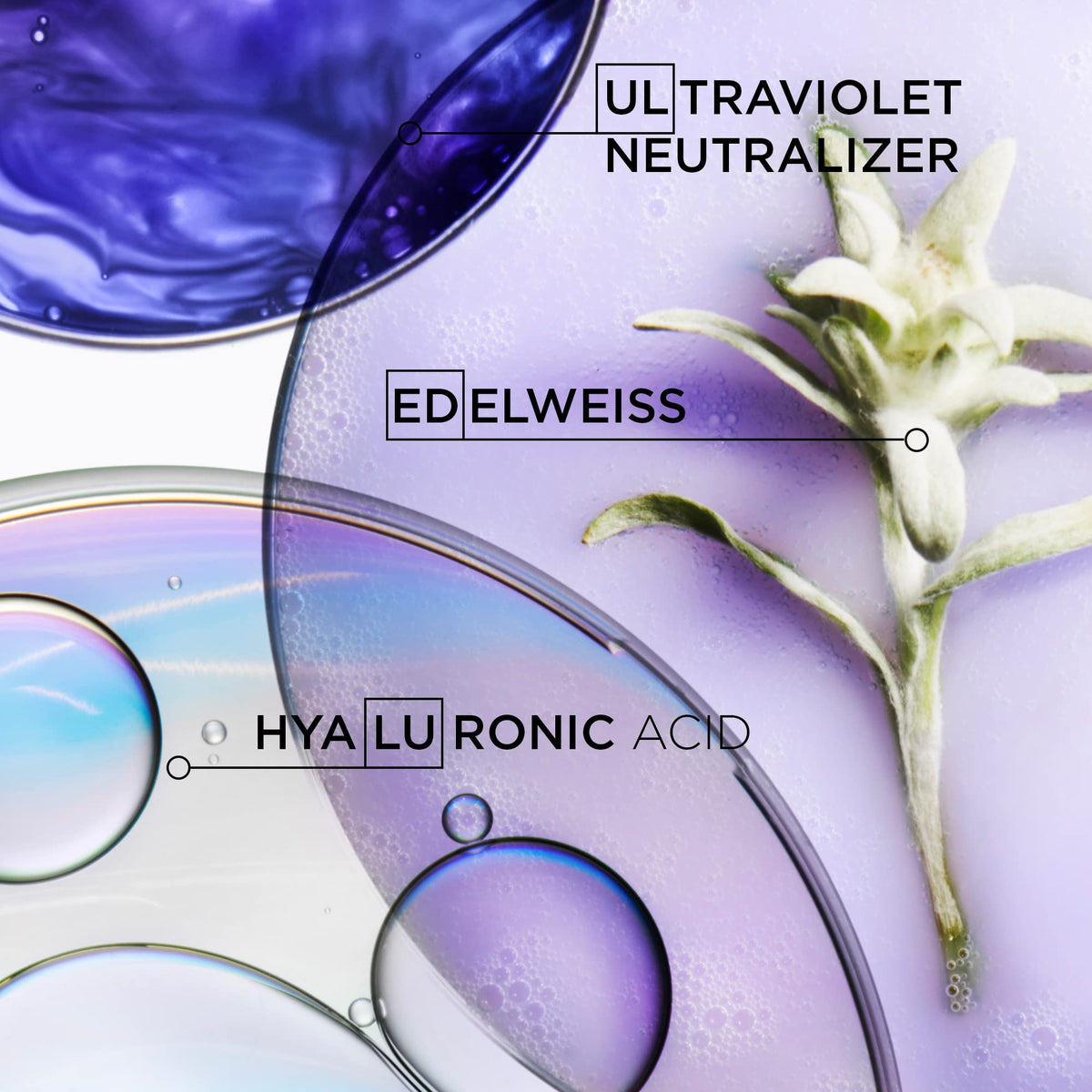 KÉRASTASE Edelweiss flower ingredient shot showing antioxidant protection