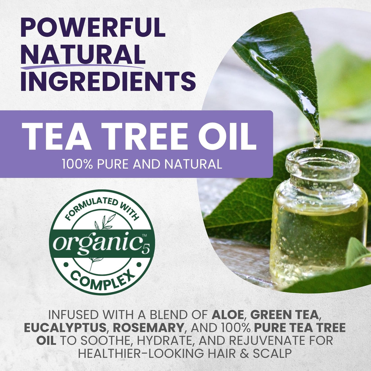 KESMEDIK rosemary tea tree and aloe ingredients highlighting scalp refresh
