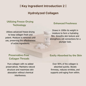 ki cosmetics dropper dispensing ampoule for precise application