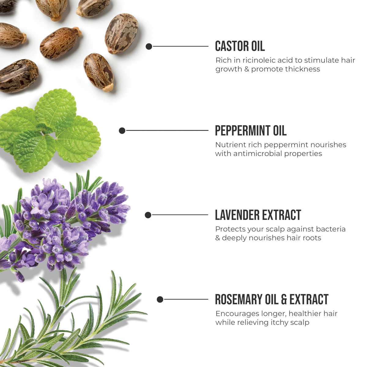 KISS Colors & Care label close-up highlighting biotin and caffeine strengths