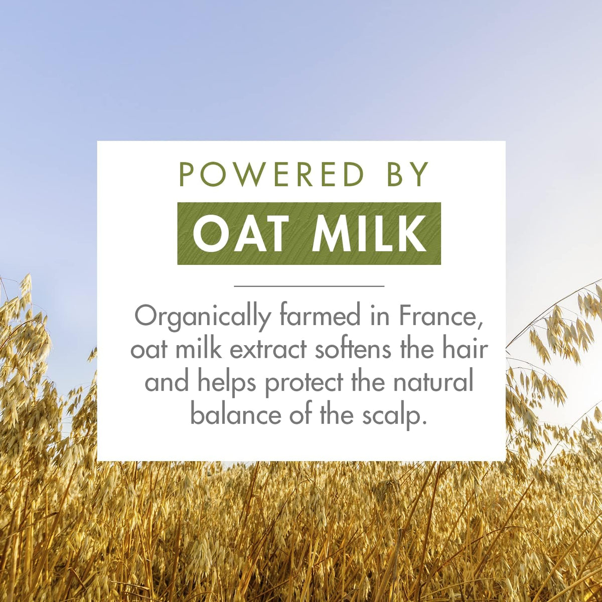 Klorane oat milk ingredient close-up highlighting gentle plant-based formula