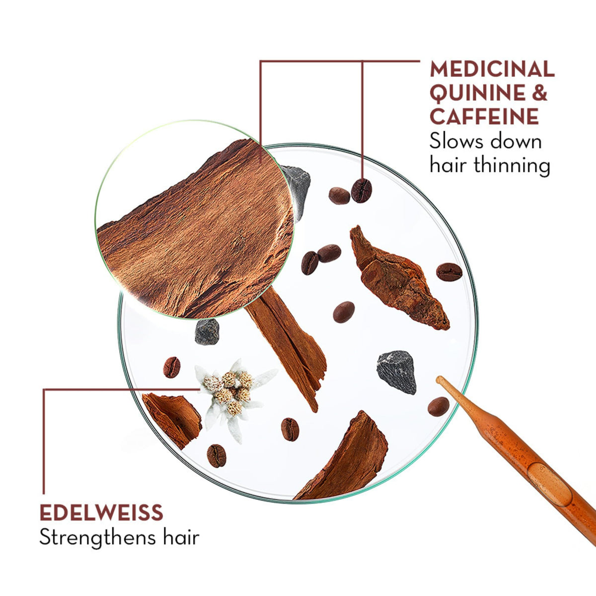 Klorane close-up quinine extract visual highlighting strengthening benefit