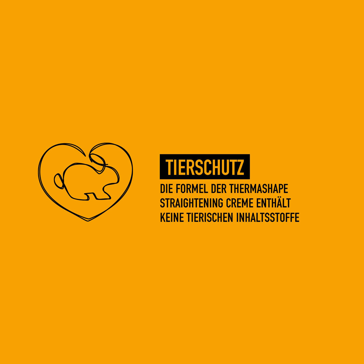 KMS Thermashape in a styling setup conveying professional-ready results