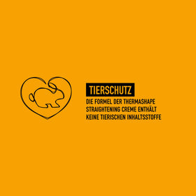 KMS Thermashape in a styling setup conveying professional-ready results