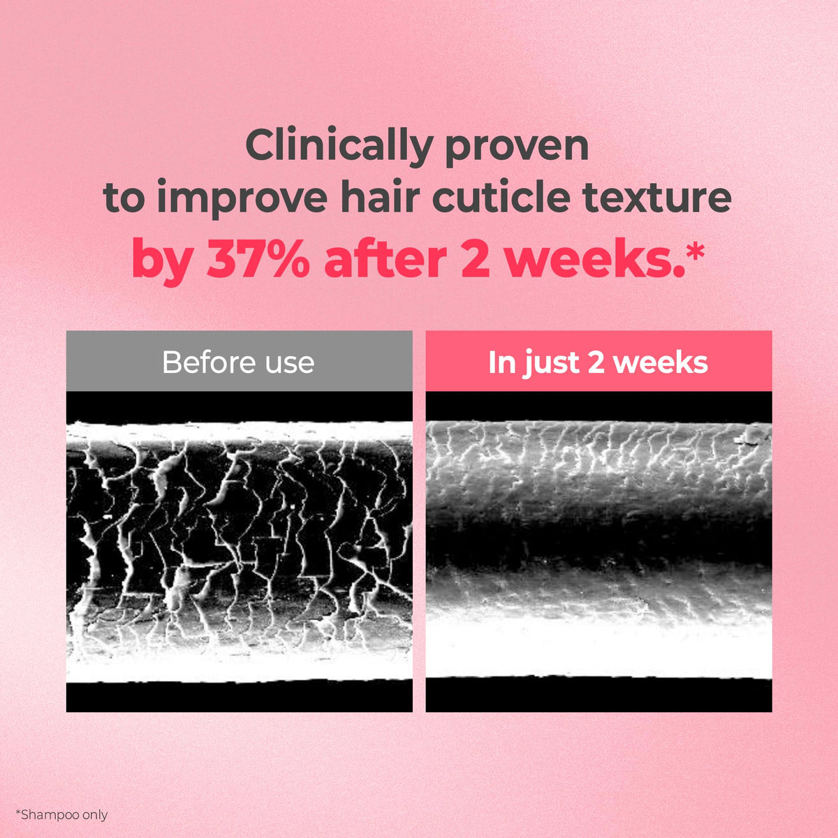 KUNDAL conditioner texture in hand showing smooth creamy hydration benefit