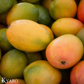 Kyabo butter applied on skin demonstrating moisturized, softer skin