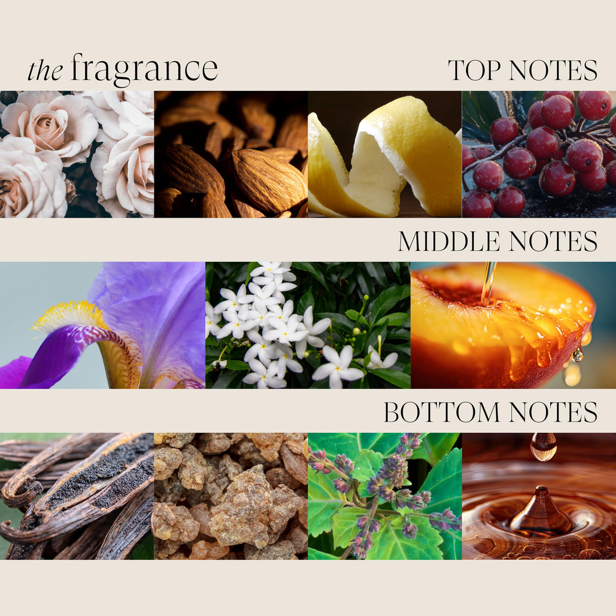 L’ANZA ingredients display with botanicals highlights keratin and antioxidants