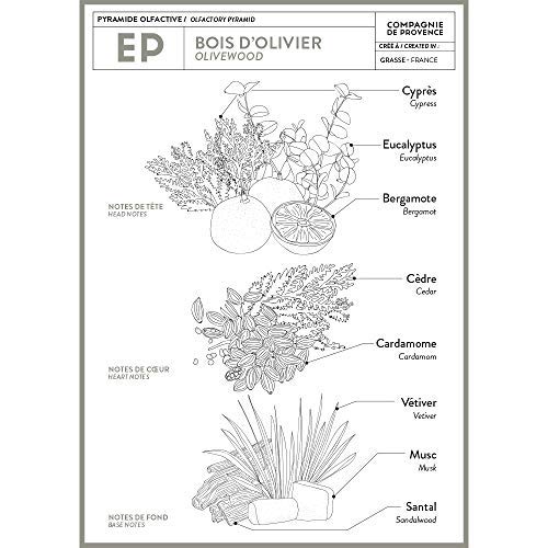 La Compagnie de Provence rich foam texture from olive oil blend for gentle cleansing