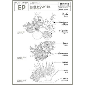La Compagnie de Provence rich foam texture from olive oil blend for gentle cleansing