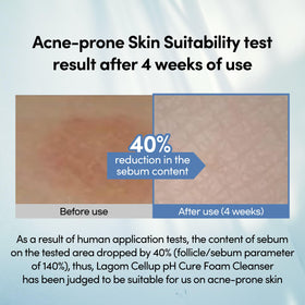 LAGOM cleanser in hand being massaged onto skin showing gentle removal of impurities benefit