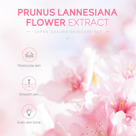 LAIKOU arranged five skincare products displayed to show included cleanser toner serum eye cream face cream