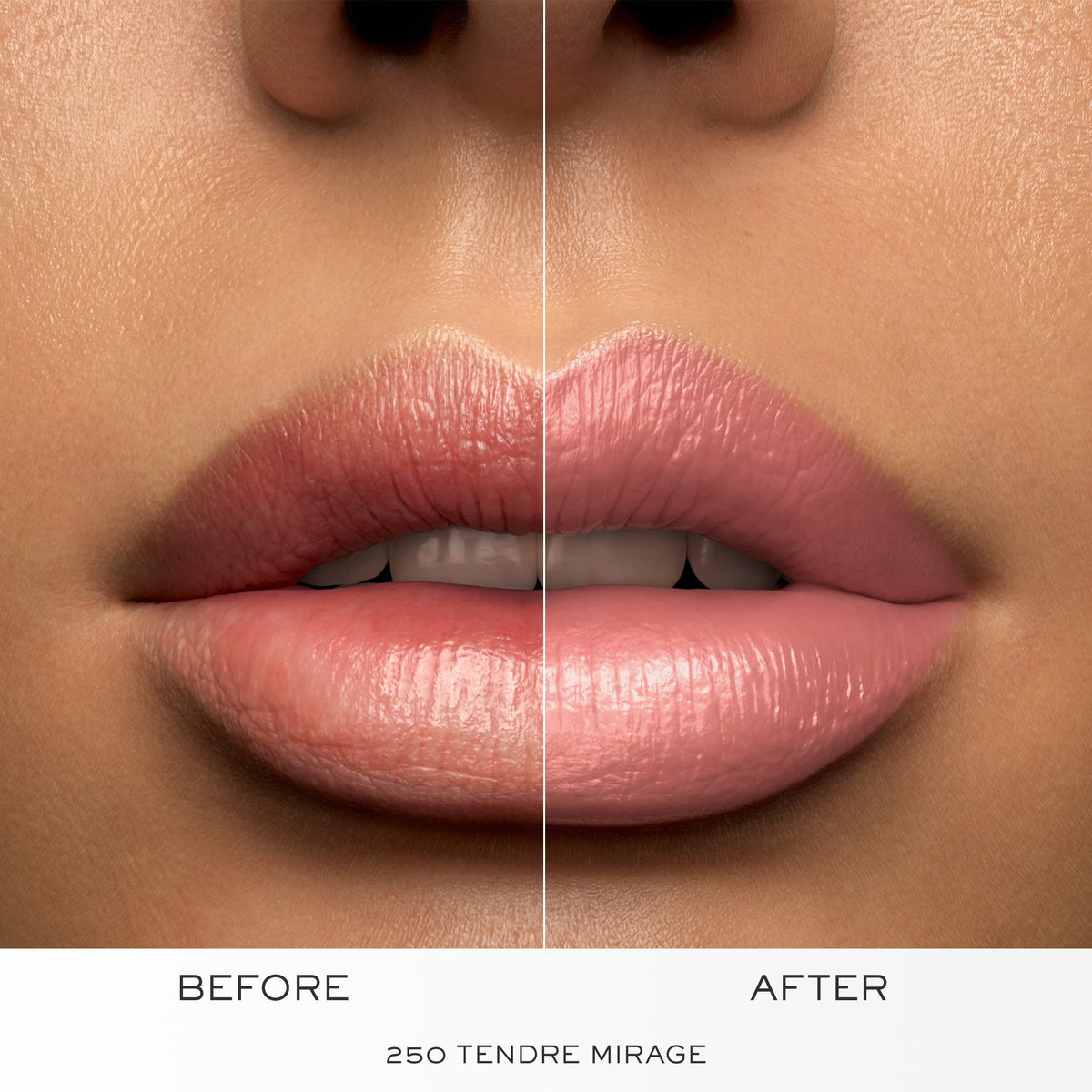 Lancôme rose balm ingredient visual emphasizing nourishing hydration