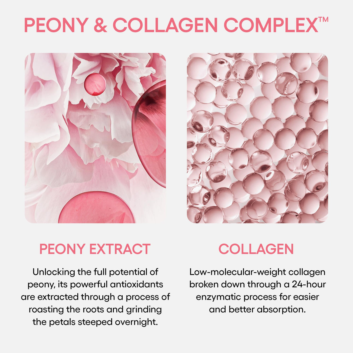 LANEIGE peony and collagen label closeup highlighting active complex