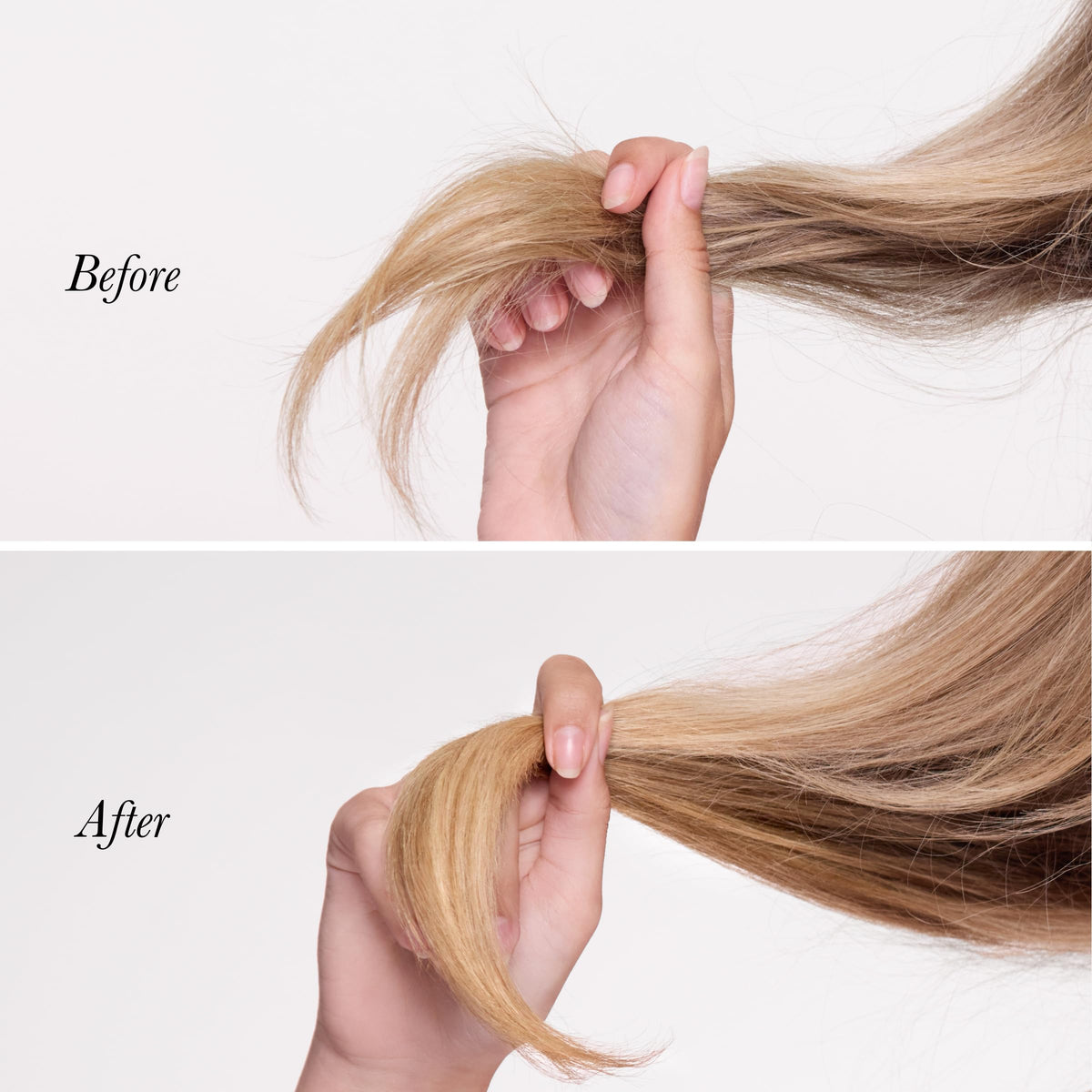 L'ANGE HAIR applied to ends demonstrating frizz control and shine
