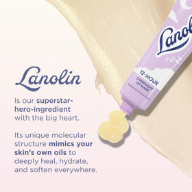 Lanolips ingredient visual with ceramides and hyaluronic acid benefits
