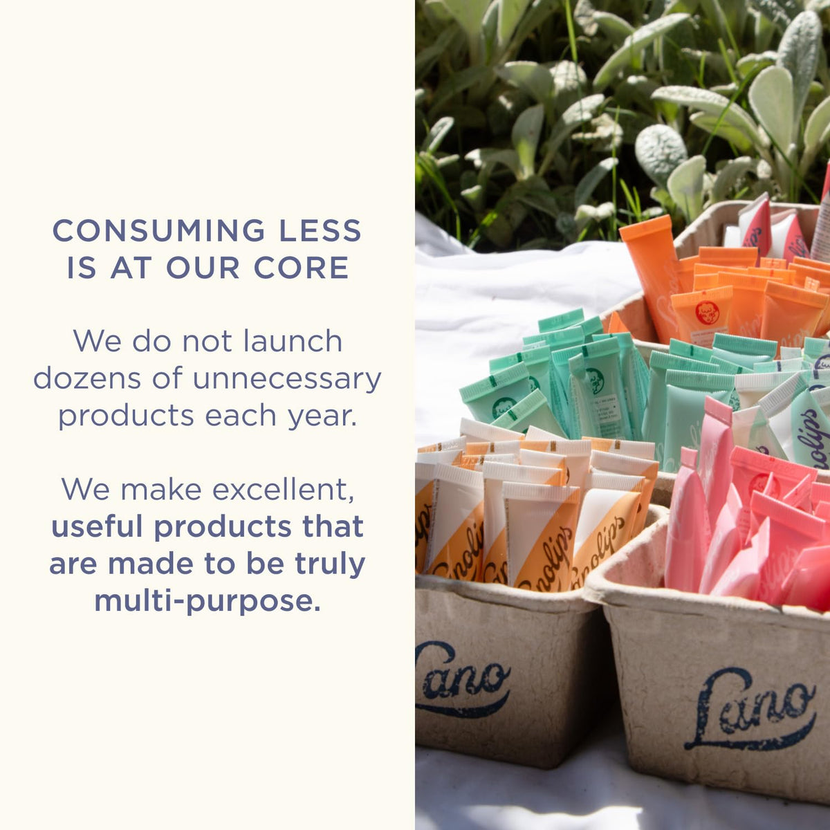 Lanolips sustainable packaging shot highlighting recyclable materials and ethical sourcing