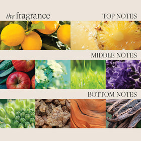 L’ANZA badge image showing sulfate- and paraben-free reassurance