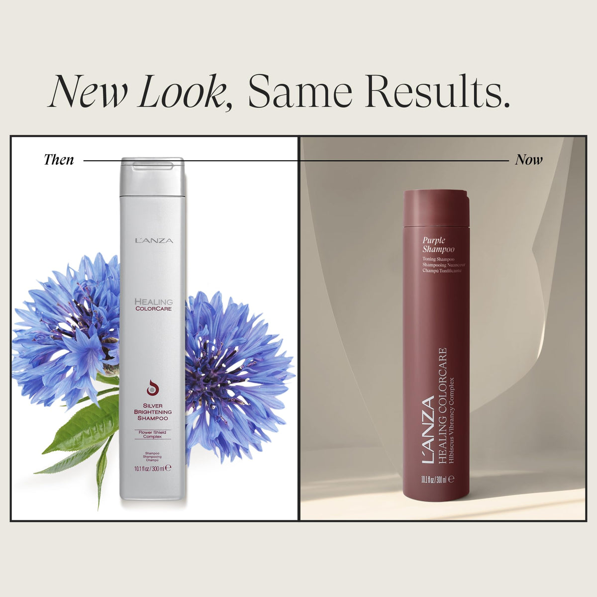 L’ANZA creamy violet lather poured to show texture for gentle toning and hydration