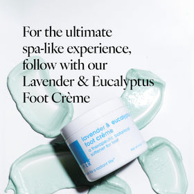lather coconut and shea oils representing moisturizing benefits