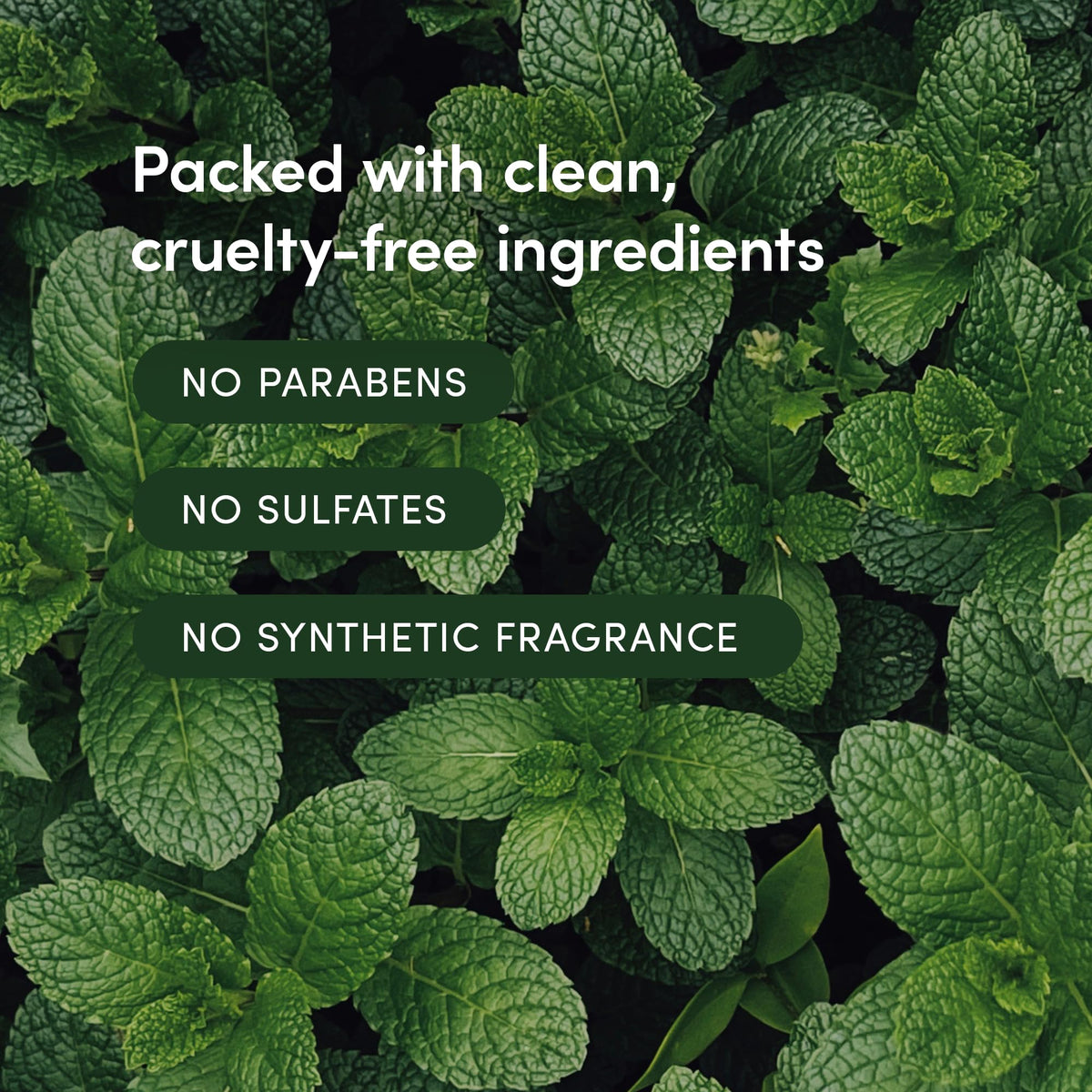 LATHER bottle with visible ingredient callouts highlighting botanicals and clean formulation