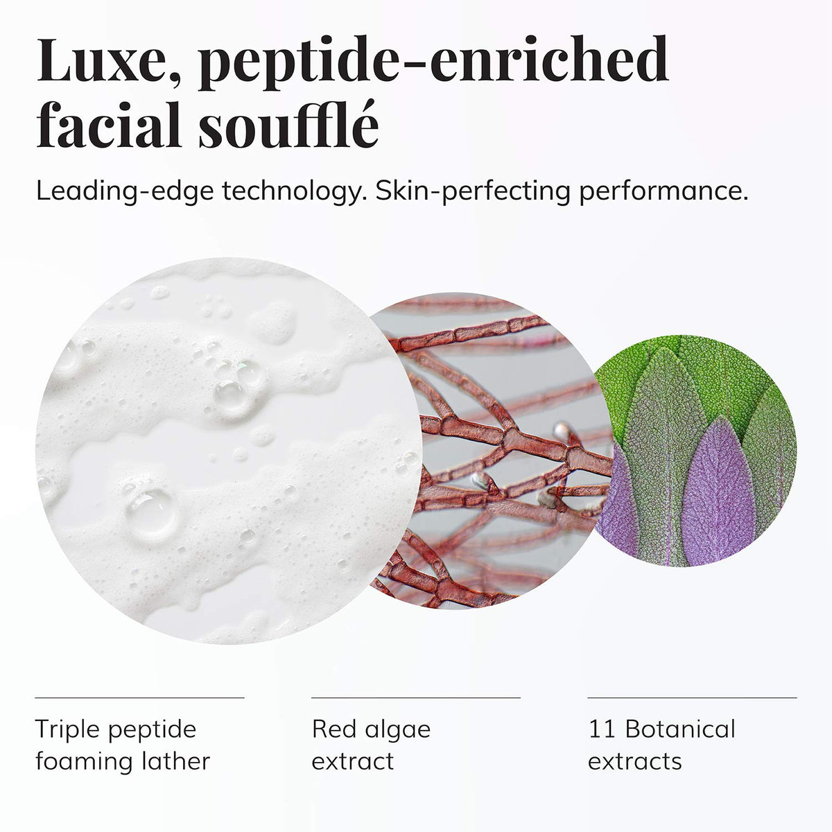 Le Mieux foam texture on hand illustrating gentle lather and hydration