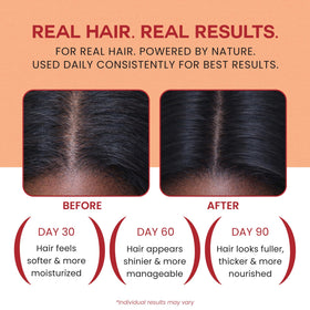 lebanta oil being massaged into scalp demonstrating nourishing application benefit