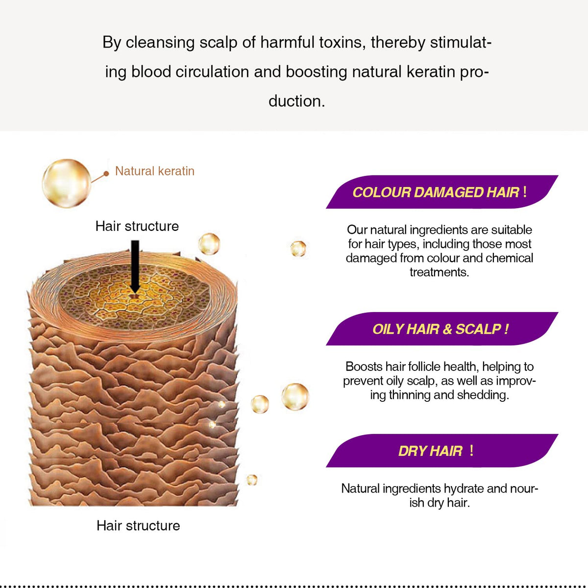 LINEDSON applying spray to scalp targets thinning areas for improved care