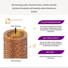 LINEDSON applying spray to scalp targets thinning areas for improved care