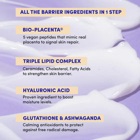 LION POSE ingredients close-up showing peptides and ceramides benefits