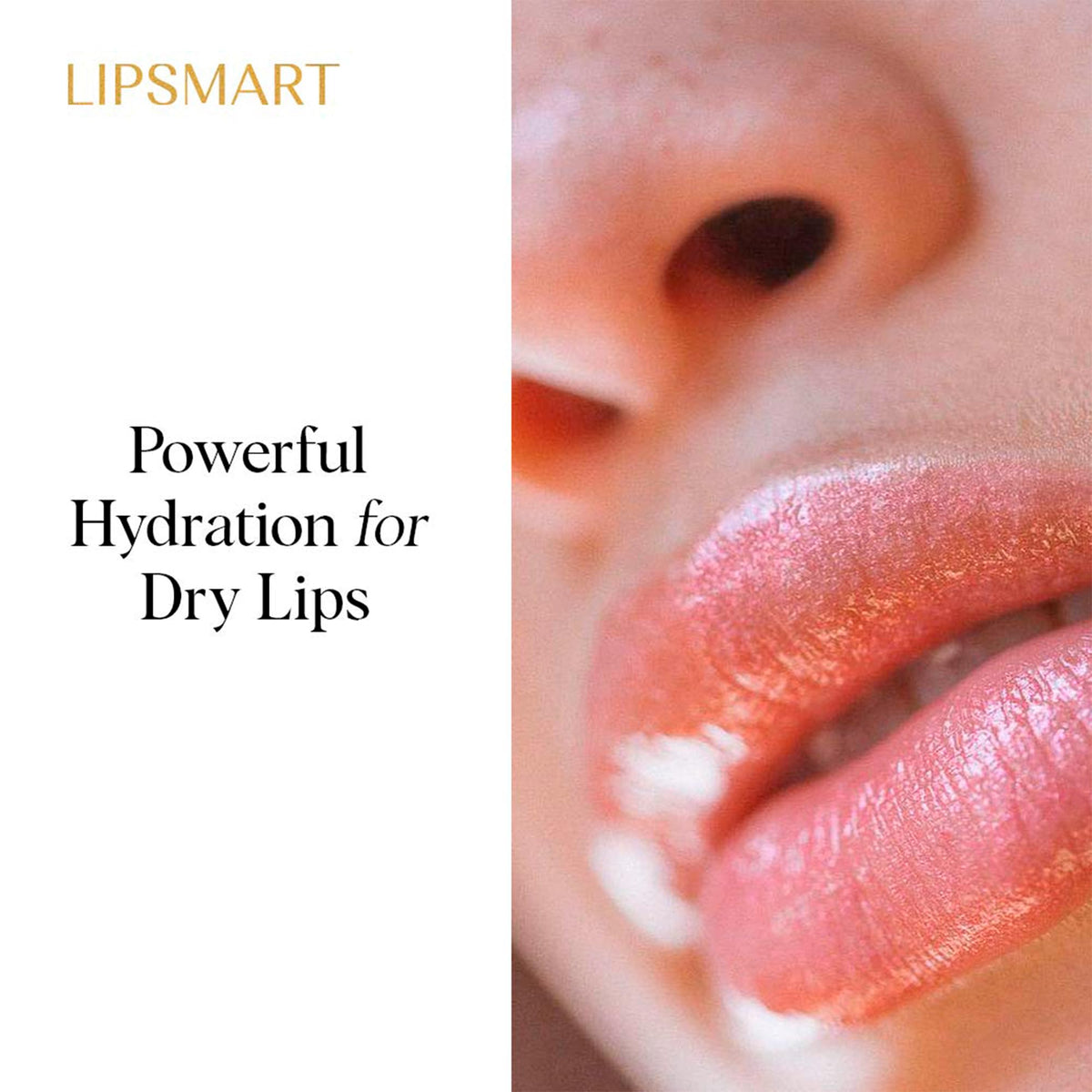 LipSmart product label listing peptides glycolipids and humectants benefits