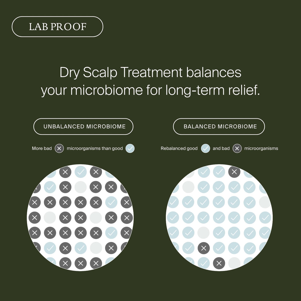 Living Proof before and after scalp visual showing reduced flaking for clearer scalp appearance